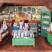 Afbeelding in Gallery-weergave laden, Het Muizenhuis - De Tandenmuis boek
